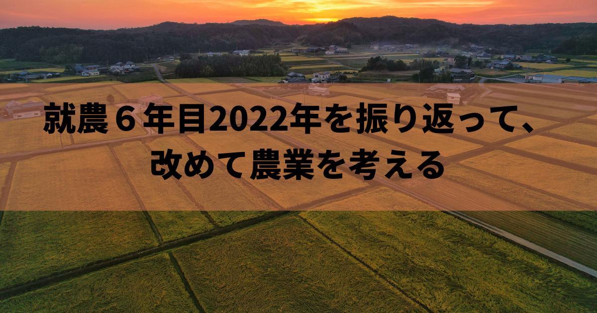 就農６年目2022年を振り返って、改めて農業を考える